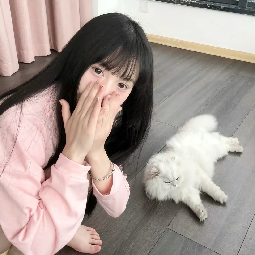 抓啄木鸟