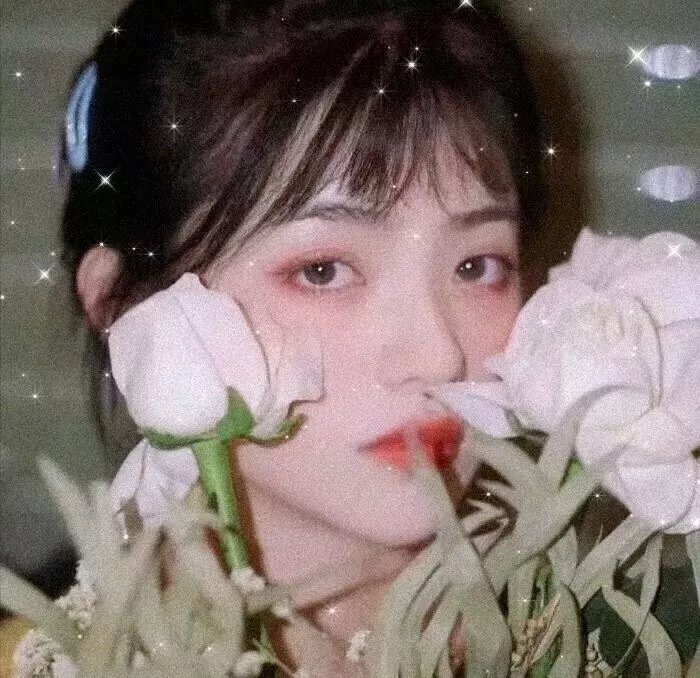 森林进化论